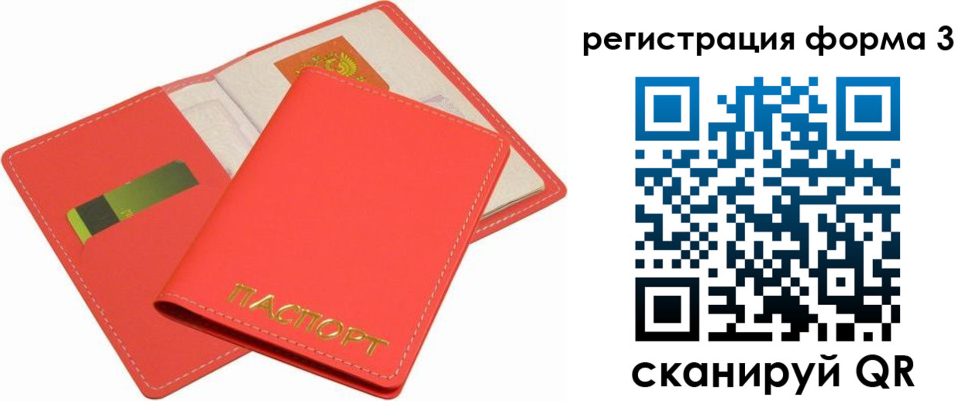 прописка для школы в Щёлкино